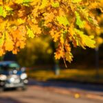 Règles que les conducteurs ne doivent pas oublier à l’automne